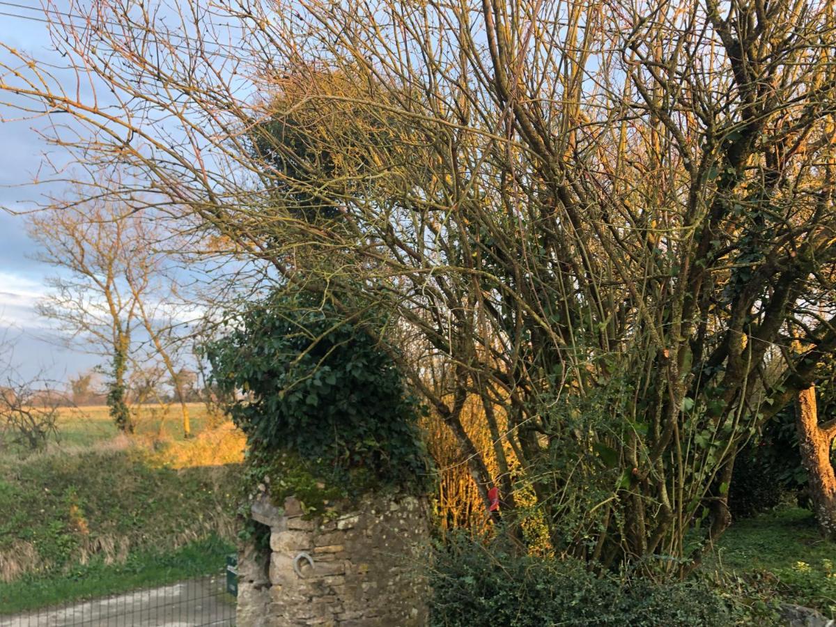 Gite Normandie Omaha Beach Colleville-sur-Mer Εξωτερικό φωτογραφία